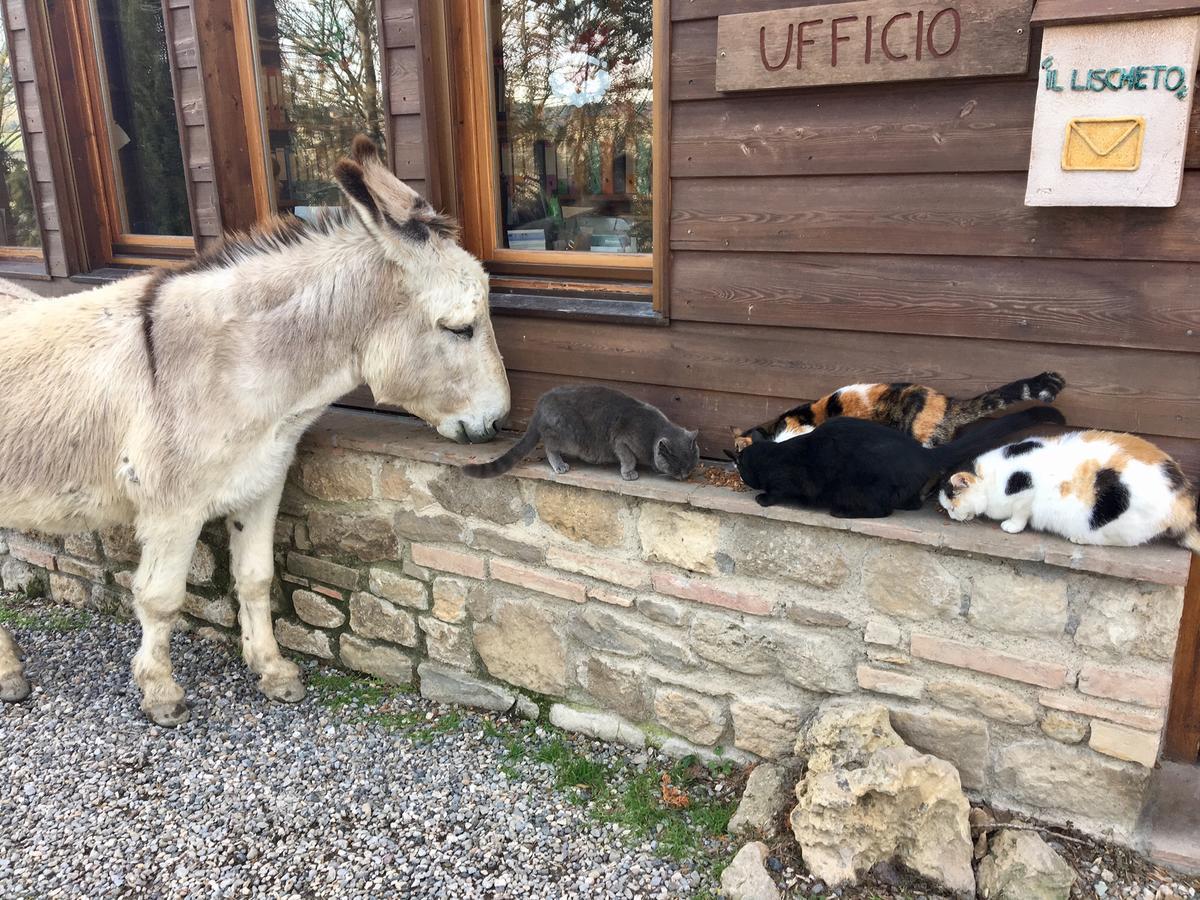 וולטרה Agriturismo Fattoria Lischeto מראה חיצוני תמונה