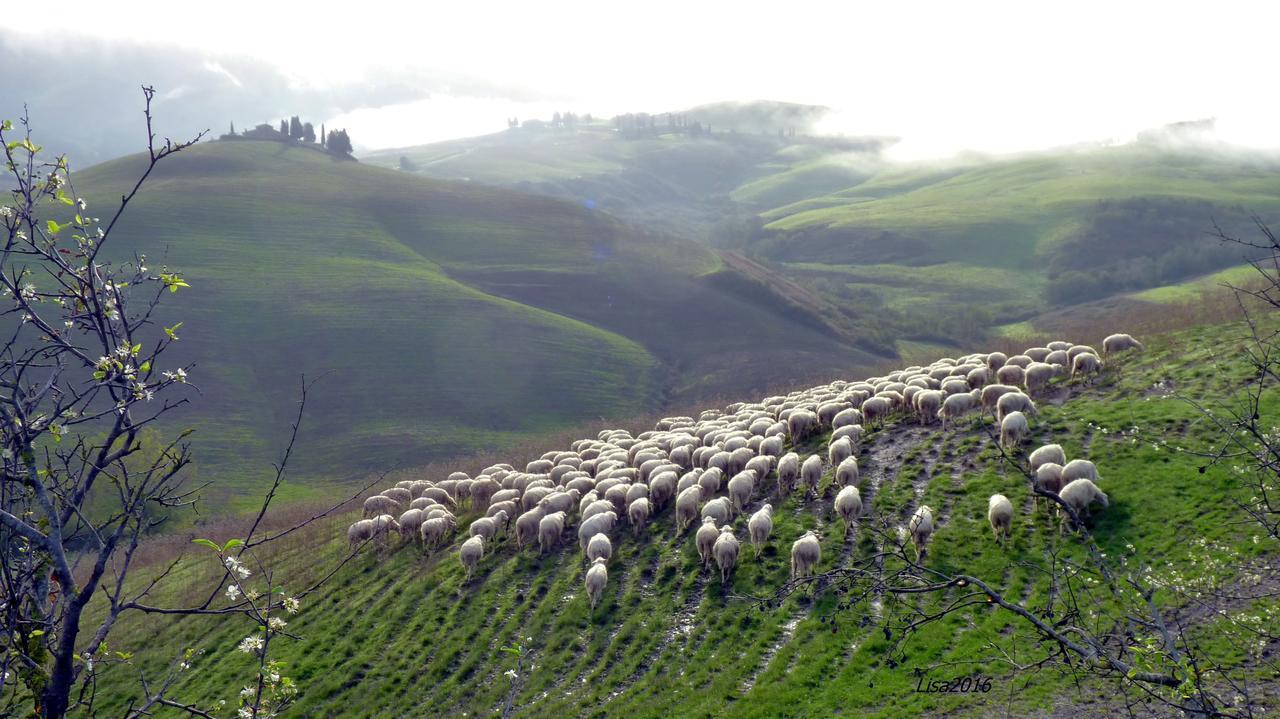 וולטרה Agriturismo Fattoria Lischeto מראה חיצוני תמונה
